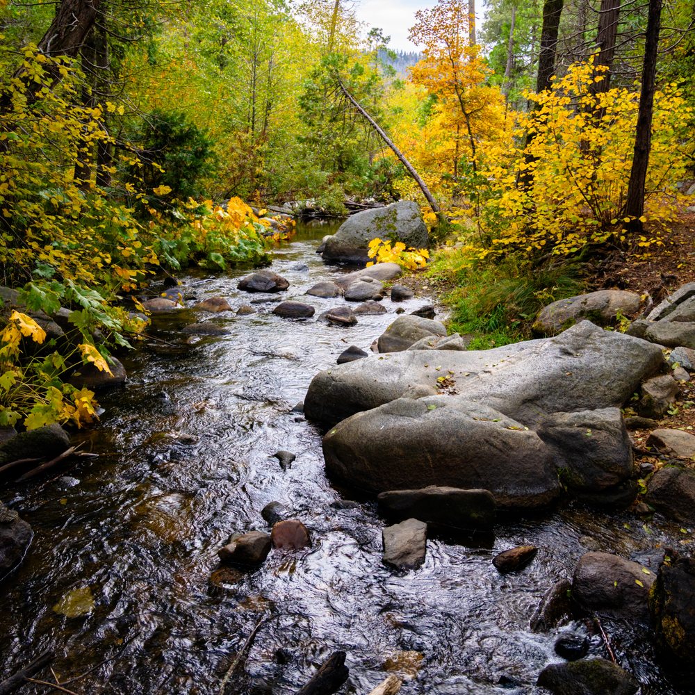 Lewis Creek Trail - lewis creek - Hiking Near Me Lewis Creek Trail - lewis creek - Hiking Near Me