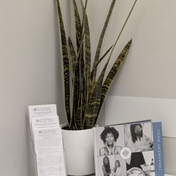 Eternal Dermatology & Aesthetic Center