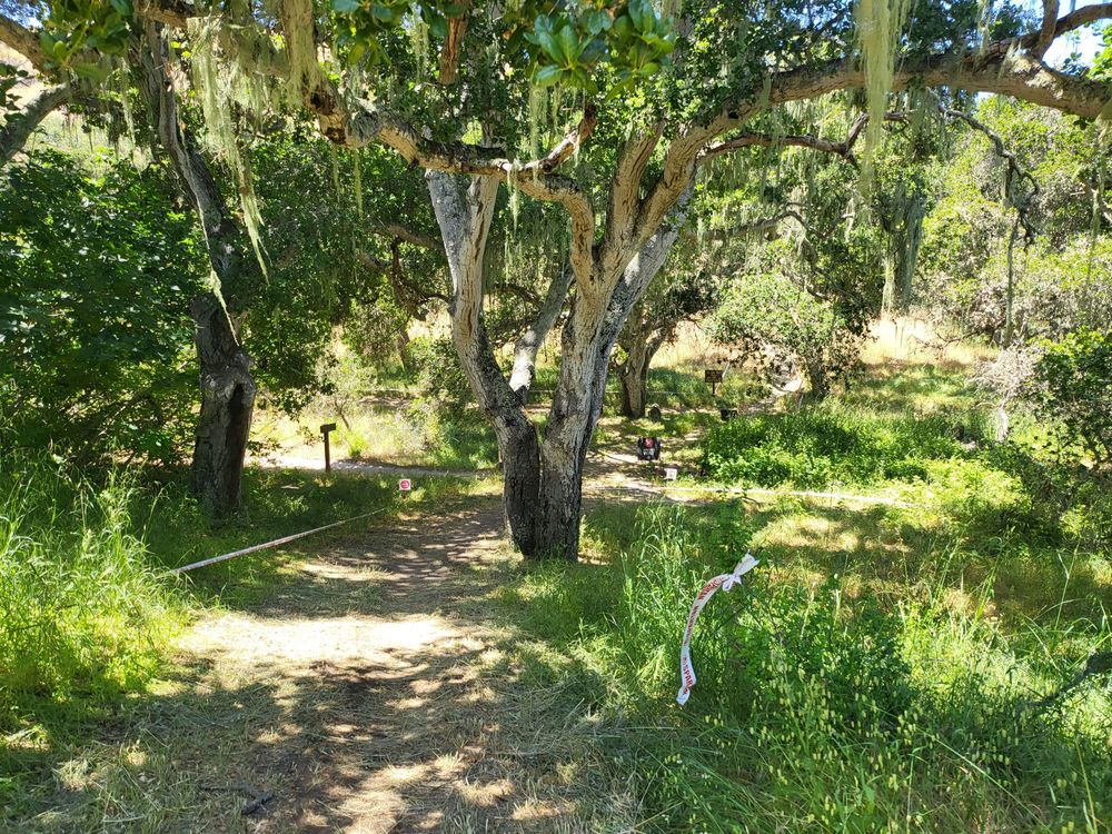 TORO PARK Updated July 2024 85 Photos & 63 Reviews 501 Monterey