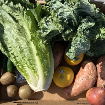 Roger's Produce - Produce purchased - Fruits & Veggies Near Me - Saint Louis, Missouri Roger's Produce - Produce purchased - Fruits & Veggies Near Me - Saint Louis, Missouri