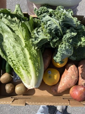 Roger's Produce by null