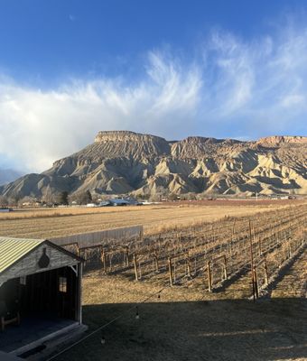 Carboy Winery at Mt. Garfield Estate by null