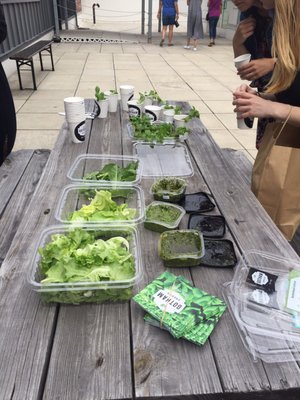 Gotham Greens by null