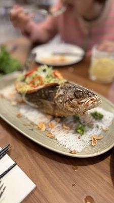 Le Soleil Stonestown by null