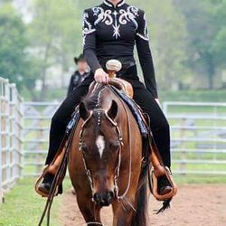 Reflections Equestrian - Horse Boarding/training/lessons