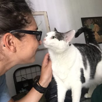 Happy Tails 2 You - Melissa and Penelope - so happy to see each other!! - Pet Sitting Near Me Happy Tails 2 You - Melissa and Penelope - so happy to see each other!! - Pet Sitting Near Me