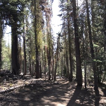 Lassen Volcanic National Park - In the forest - Parks Near Me - Mineral, California