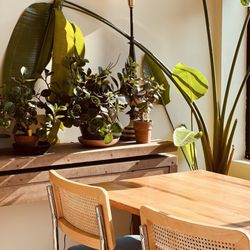 Rising Star Coffee Roasters - Perfect work location