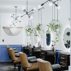 Bluebird Studio