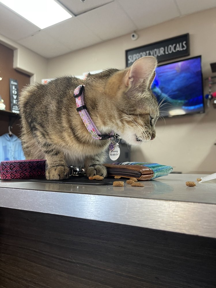 OAK HILLS POSTAL Updated September 2024 35 Reviews 13312 Ranchero Rd, Oak Hills