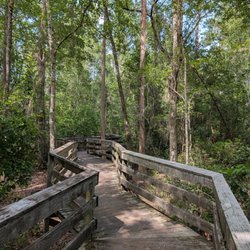 Falling Creek Falls - Boardwalk to the waterfall area.