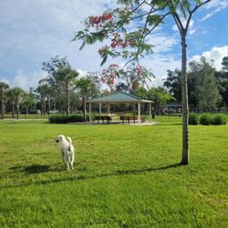 Cinquez Park Dog Park - Lots of grass and room to run and play.