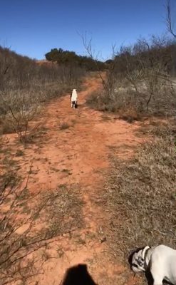 Abilene State Park by null