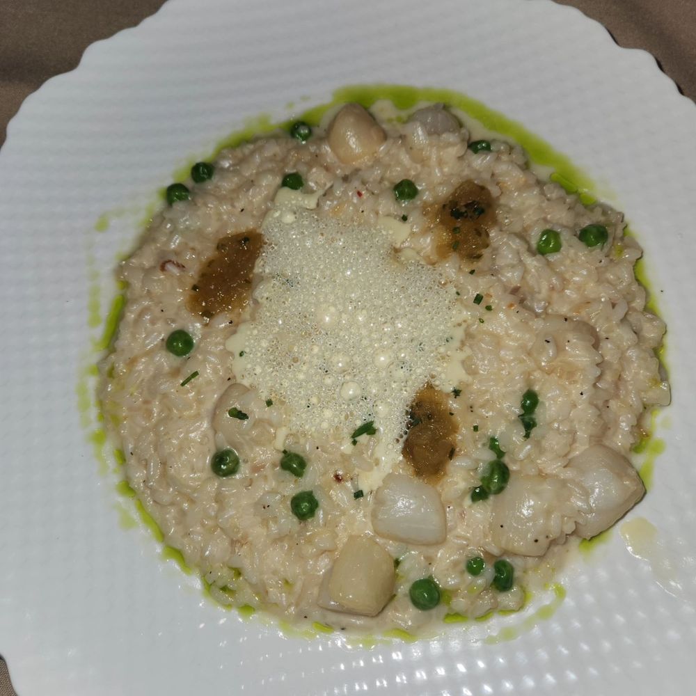 The Consulate - Midtown - Scallops and undercooked risotto - French Near Me - New York, New York The Consulate - Midtown - Scallops and undercooked risotto - French Near Me - New York, New York