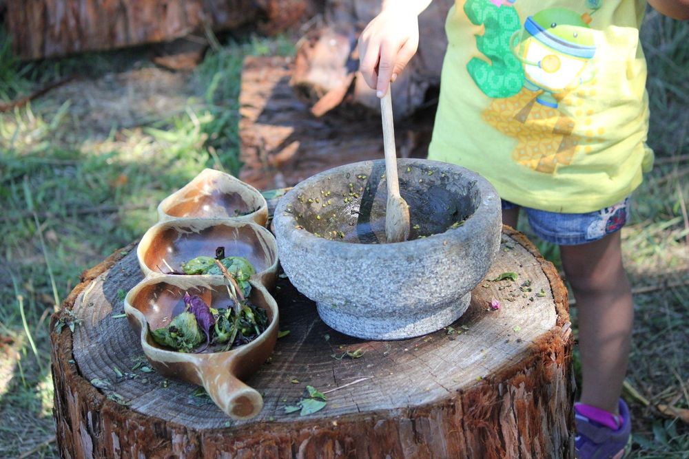 Fulton Community School & Farm - childcare center in Santa Rosa, CA