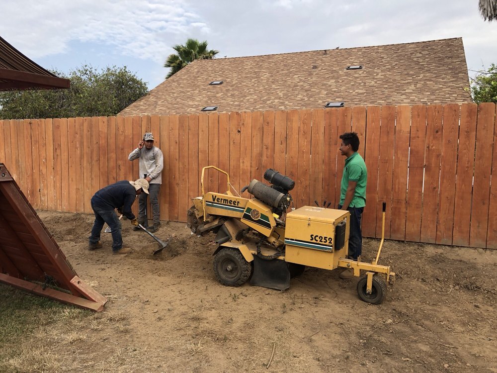 FREDDIE’S TREE SERVICE 18 Photos &amp; 23 Reviews Tree