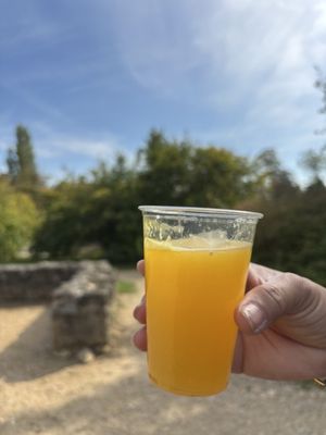 Gardens of Versailles by null