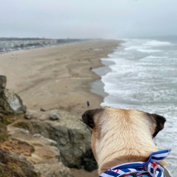 Ocean Beach - Cowabunga, dude! - Parks Near Me - San Francisco, California