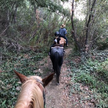 Western Trails Horseback Riding - Horseback Riding Near Me - Kalispell, Montana Western Trails Horseback Riding - Horseback Riding Near Me - Kalispell, Montana