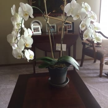Lilypots - Lovely orchid from Lilypots - Florists Near Me - Lake Geneva, Wisconsin