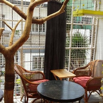Miao Cat Cafe - Cafes Near Me - Quezon City, NCR Miao Cat Cafe - Cafes Near Me - Quezon City, NCR