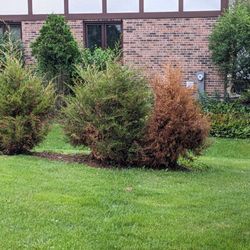 RYCO Landscaping