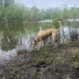 Photo of Buhlow Lake Recreation Area