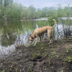Buhlow Lake Recreation Area - Time for pit stop