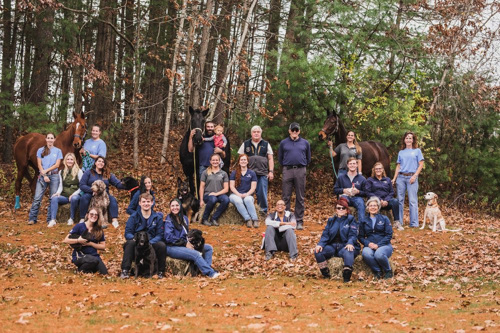 MILL VALLEY VETERINARY CLINIC with 12 real customer photos Updated