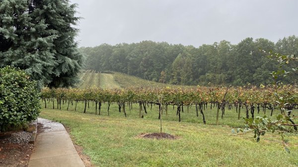 Frogtown Cellars by null