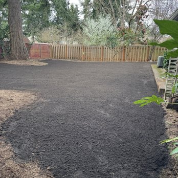 Longhorn Landscape - Landscaping Near Me