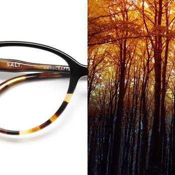 Allen E. Austin O.D. - SALT Optics frames - Optometrists Near Me - Orange, California Allen E. Austin O.D. - SALT Optics frames - Optometrists Near Me - Orange, California