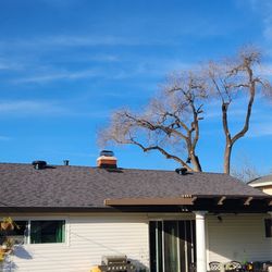 Alta-Cal Roofing - Back