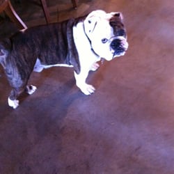 Chateau de Pique Winery - This is Cork. He runs the place.