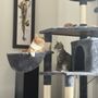 Photo of Collins Animal Hospital