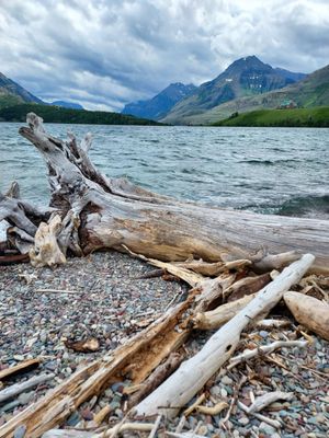 Waterton Lakes National Park of Canada by null