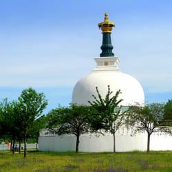 Vienna Peace Pagoda - First view of the Vienna Peace Pagoda