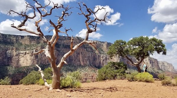 Ooh Aah Point by null