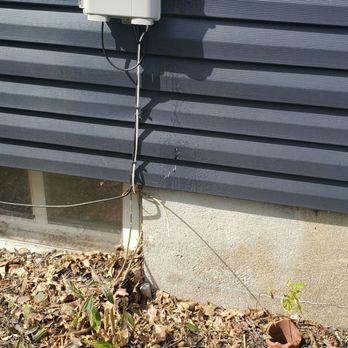 Almighty Tree Experts - Tree Services Near Me