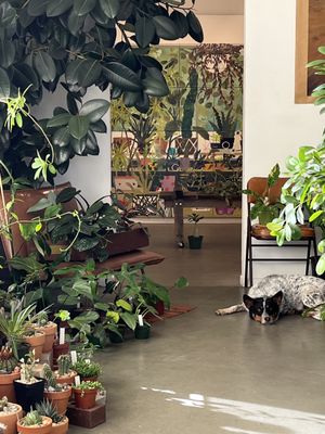 Public Land Store by null