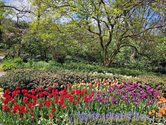Conservatory Garden by null