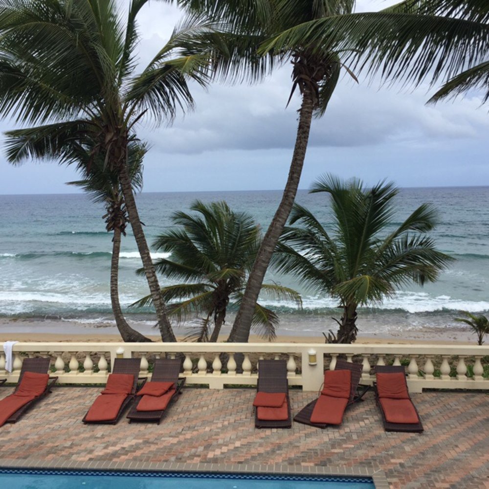 Island House - You are very close to the ocean. - Breakfast & Brunch Near Me - Aguada, Puerto Rico Island House - You are very close to the ocean. - Breakfast & Brunch Near Me - Aguada, Puerto Rico