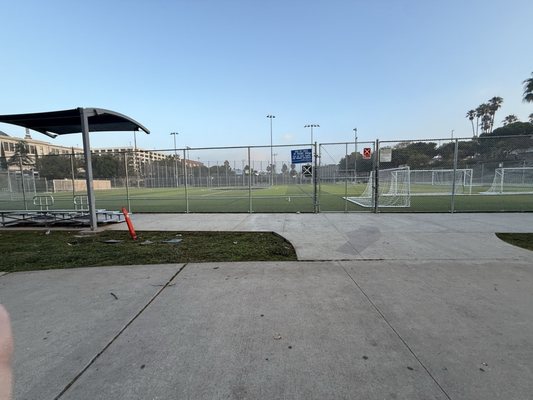 Pan Pacific Park by null