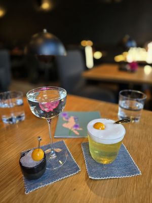 Bar Iris by null Bar Iris by null