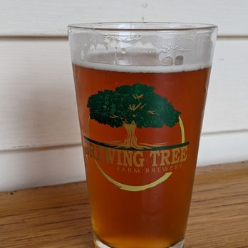Brewing Tree Beer Company - Blood orange! - Brewpubs Near Me - Afton, Virginia