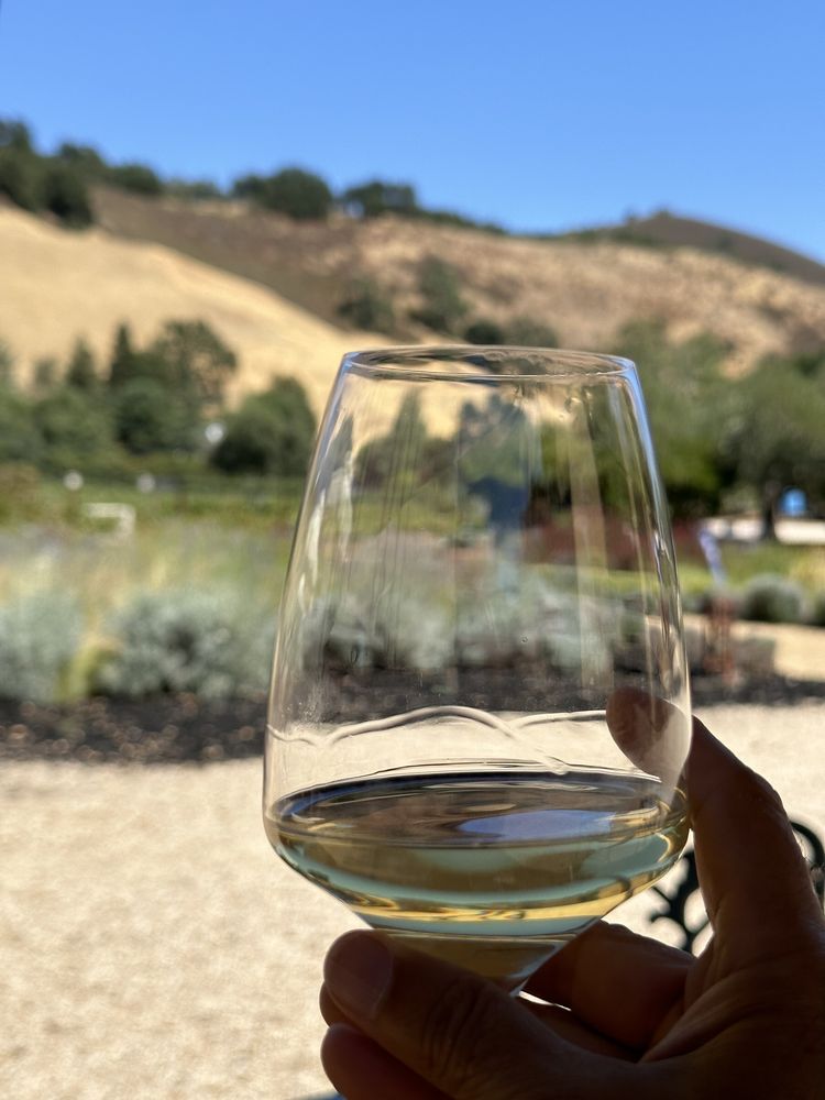 Horse Thief Vineyards Logo