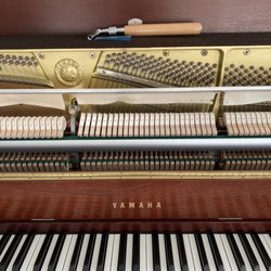 Chaviano Piano Tuner - Piano tuning and lessons