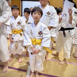 Northern California Cherry Blossom Festival - .