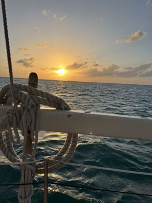 Danger Charters by null