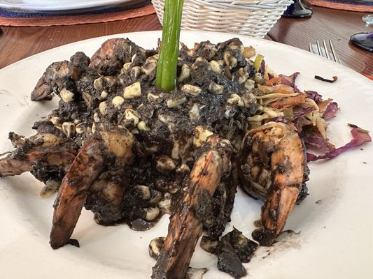 Blue Agave Club by null